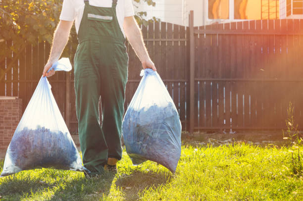 Best Household Junk Removal  in Memphis, MI
